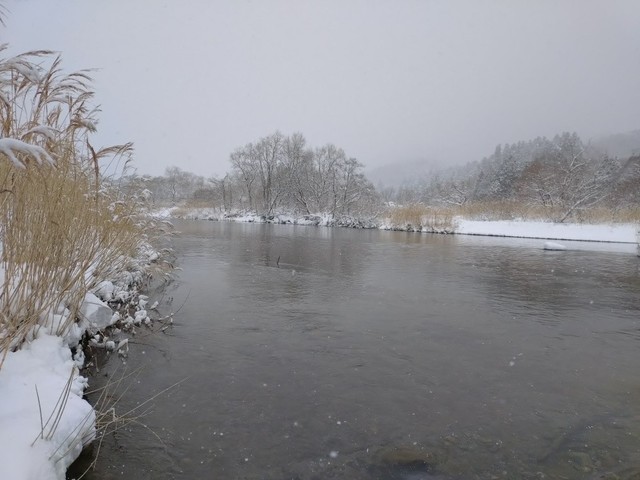 20240303_113421.JPG